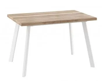 Стол БОРГ-120(160)х80 раздвижной Дуб каньон/Белый