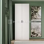 Шкаф Модерн 2DG Z | изображение 1