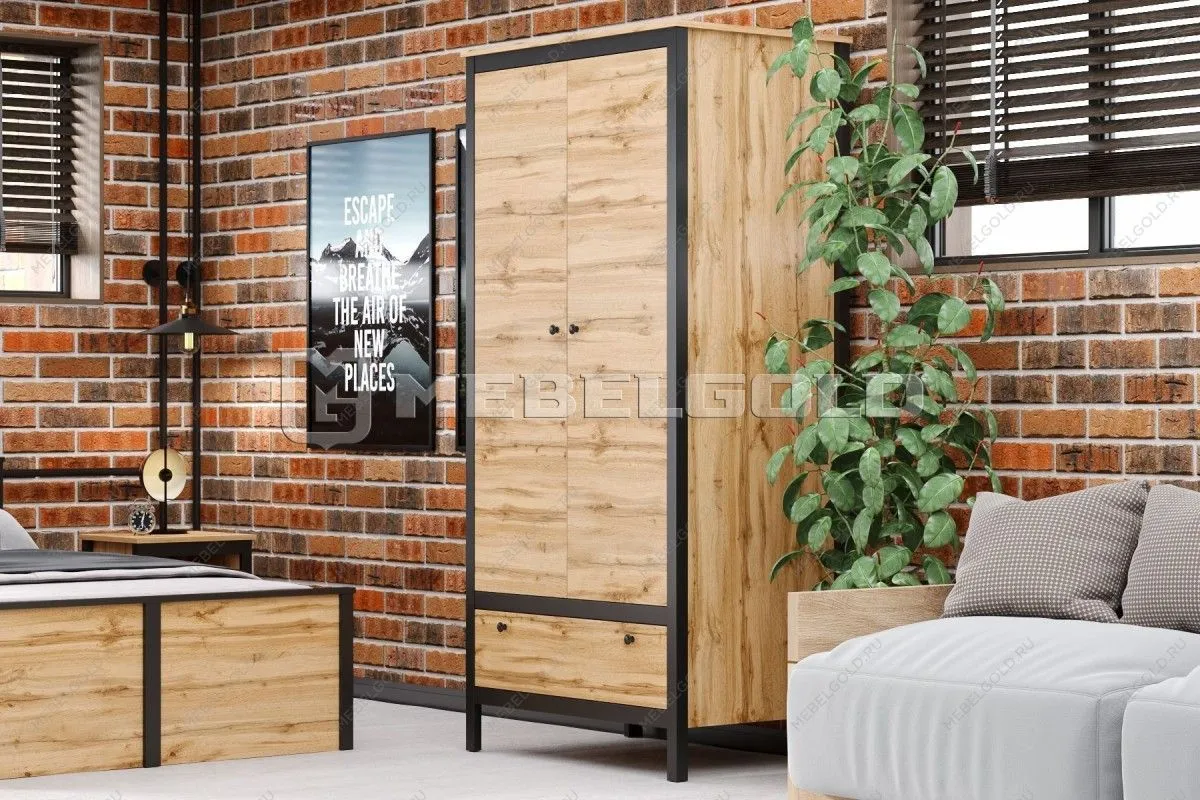 Шкаф Лофт SZF2D1S | изображение 2