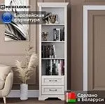 Шкаф Стилиус REG2S (Лиственница сибирская) | изображение 1