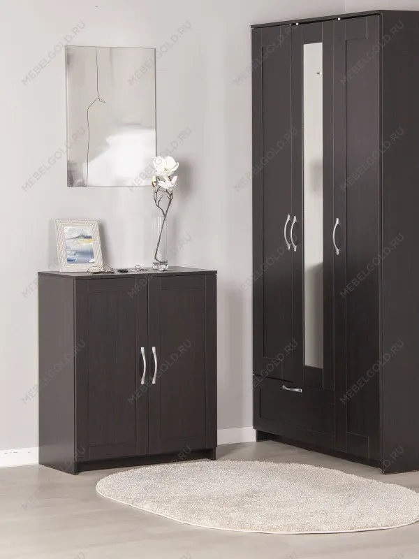 Тумба Сириус, 2 двери, 78х41х95 см, дуб венге, черно-коричневая | изображение 1