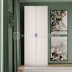 Шкаф Модерн 2DG Z | изображение 1