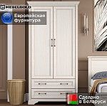 Шкаф Стилиус SZF2D2S (Лиственница сибирская) | изображение 1