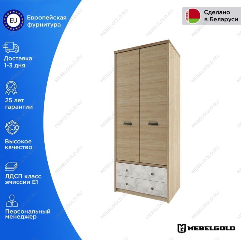 Шкаф 2-створчатый Дизель 2DG2S/D2 | изображение 1