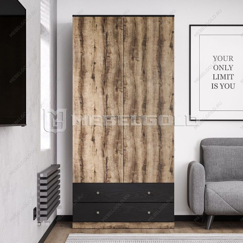 Шкаф 2-створчатый Джаггер 2DG2S | изображение 1