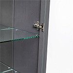 Шкаф-витрина Джульетта (серый ясень) | изображение 4