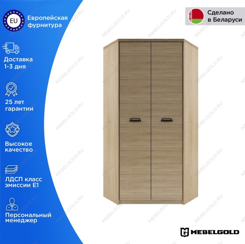 Шкаф угловой Дизель 2D | изображение 1